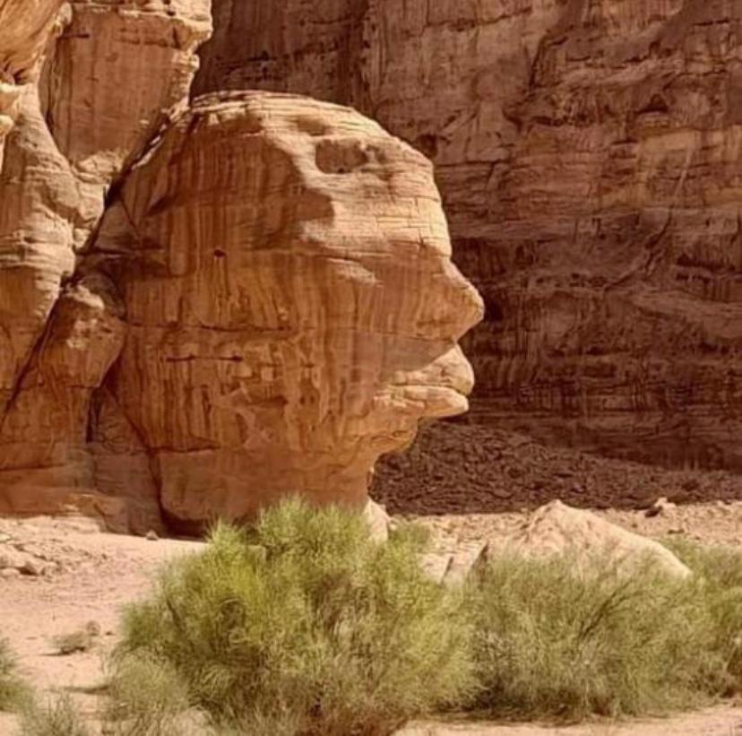 Adel Rum Camp Bubbles Wadi Rum Eksteriør billede