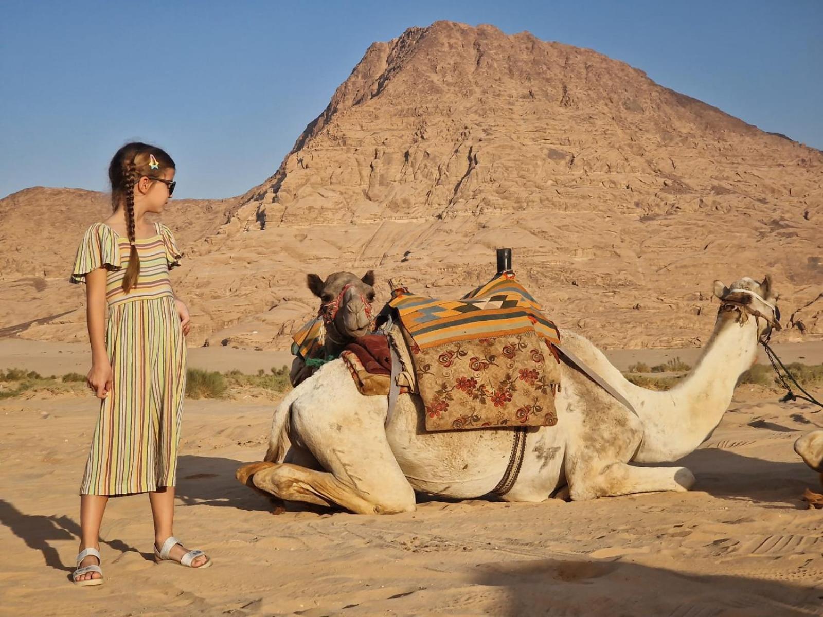 Adel Rum Camp Bubbles Wadi Rum Eksteriør billede