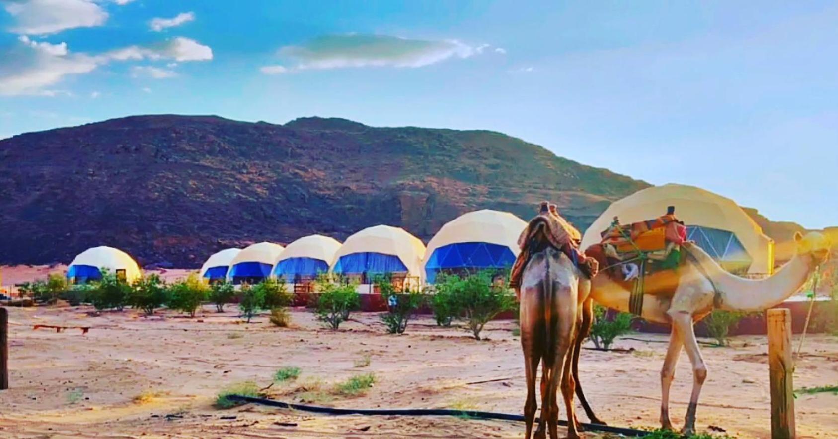 Adel Rum Camp Bubbles Wadi Rum Eksteriør billede